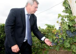 Василий Голубев: «Необходимо развитие сельхозпереработки на Дону» 