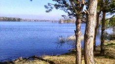 Томская область – близ Кандинского водохранилища создадут аквабиоцентр