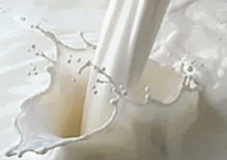 Власть Ростова интересуется, нужно ли горожанам молоко «на дом»