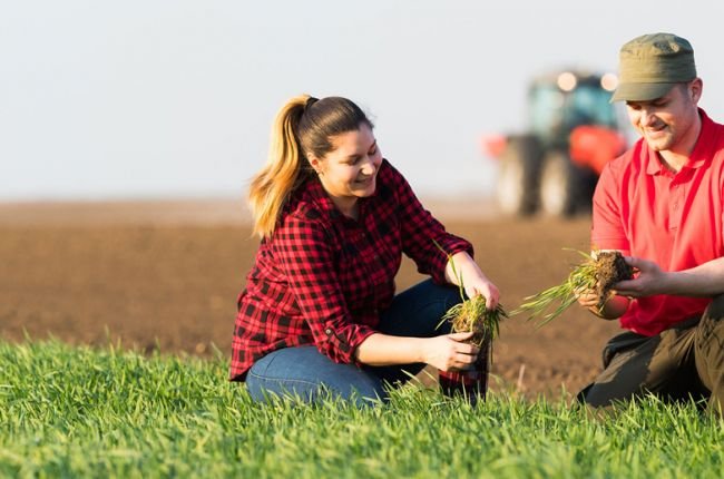 Россельхозбанк назвал самые востребованные вакансии в период сезонно-полевых работ