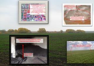 Контрольно-надзорные мероприятия в области семенного контроля, проводимые с начала ноября 2012 года.