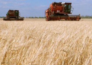 Аграрии Челябинской области намолотили миллион тонн зерна