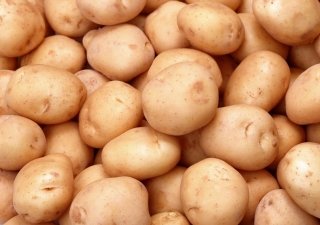 На Чукотке был собран рекордный урожай картошки