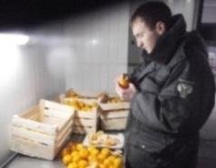 Об обнаружении карантинного вредителя в хорватской растительной продукции