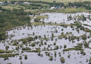 От наводнения убыток сельского хозяйства Дальнего Востока составил около 10 млрд рублей