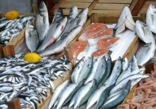 С начала года в водоёмах свердловской области выращено и выловлено почти 200 тонн рыбы