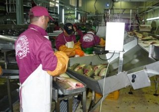 Квоты предложили обременять модернизацией