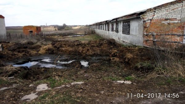 Экологи бьют тревогу из-за несоблюдения брянскими фермами ветеринарно-санитарного законодательства