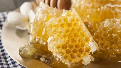 Форум-выставка «Кооперация – 2018» приглашает пчеловодов к участию