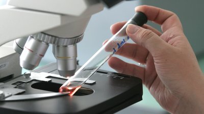 ПРИШЛА БЕДА - ОТВОРЯЙ ВОРОТА Привыкаем к ящуру, забываем об экспорте?