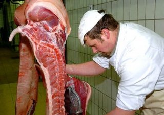 РФ может увеличить производство мяса к 2016 г на 19%, до 9,6 млн тонн