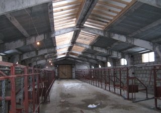 На Алтае завершается подготовка объектов животноводства к зиме