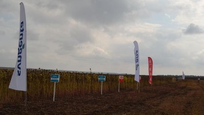 День поля в Волгоградской области