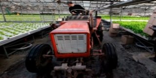 Новгородские власти выплатят молодым специалистам АПК по 100 тысяч