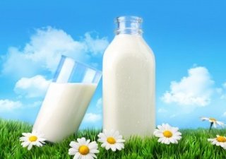 Зачем Белоруссии столько молока?
