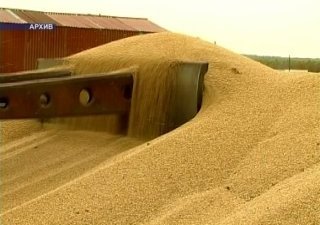 Витебская область выполнила госзаказ по поставкам зерна