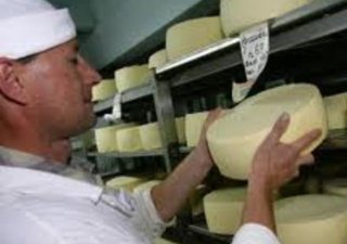 В Казахстане введено ограничение на ввоз украинских сыров