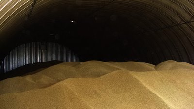 По копеечке, по зернышку, по семечку.