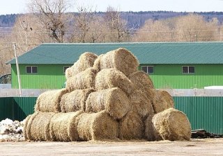 Российские фермеры готовятся к зимовке