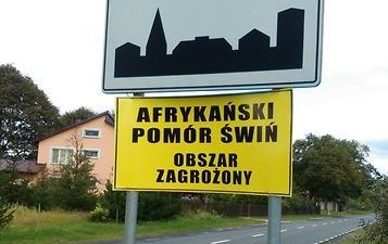 Основной переносчик АЧС в Польше - человек