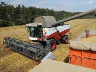 Возможна ли перестройка на зерновом рынке России?