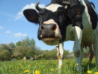 Президент Национального союза производителей молока Айрат Хайруллин: «Развитие АПК: есть ли у государства перспективная стратегия?»