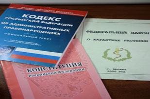 Ведение шнуровой книги учета семян обязательных требований