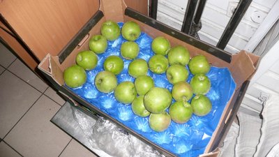 Обнаружение санкционной продукции