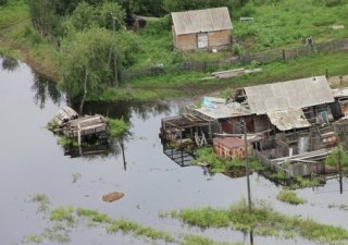 Хабаровский край просит оказать помощь затопленным сельхозпредприятиям, которые на застраховали урожай