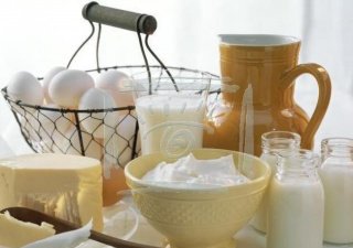 Рынок молочных продуктов Франции оказался под угрозой из-за российских контрсанкций