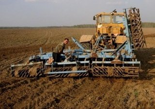 Томские аграрии опережают в посевной остальную Сибирь