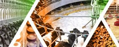 В Санкт-Петербурге впервые прошла Smart Farm / Умная ферма