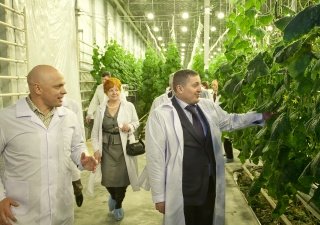 Программа импортозамещения в действии
