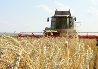РЗС предлагает отменить единый сельхозналог в РФ