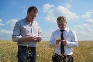 Органическая продукция поедет в Европу