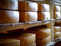 Алтайский сыр: ежедневно производится около 180 тонн брендового продукта