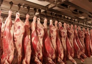 Импорт мяса и молока в РФ после введения эмбарго заметно упал