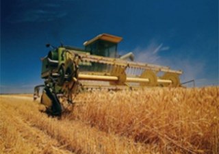 Омские аграрии довольны урожаем зерновых