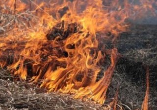 Работники МЧС проверили пожарную безопасность в хозяйствах Севастополя
