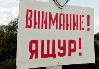 Почти 45 населенных пунктов Приморского края попали в карантинную зону по причине вспышки ящура