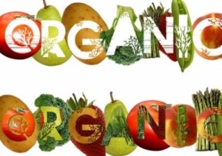 Рынок органических продуктов питания в Беларуси отсутствует, а спрос есть