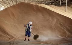 В Псковской области ставят рекорды