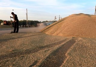 На заседании правительства обсуждали создание Причерноморского зернового пула