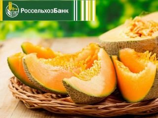 Краснодарский филиал Россельхозбанка оказывает финансовую поддержку бахчеводам края