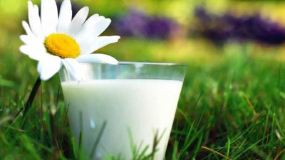 Итоги круглого стола «Успешный опыт Danone в развитии поставщиков молока в России»
