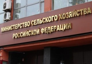 Российский зерновой экспорт под угрозой