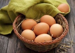 Ведущие птицефабрики Алтайского края наращивают производство яиц