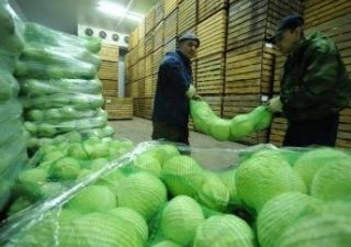 В Приморье создадут агрокластер