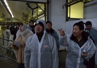 Китайские фермеры будут учиться у тюменских животноводов