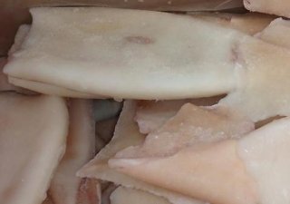 Минтай и кальмар — основа улова в Сахалино-Курильском регионе в ноябре